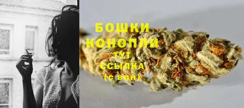 Конопля SATIVA & INDICA  Ершов 